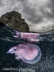 Jellyfish under the Scilla's castle. It's no photoshop ma... by Francesco Pacienza 
